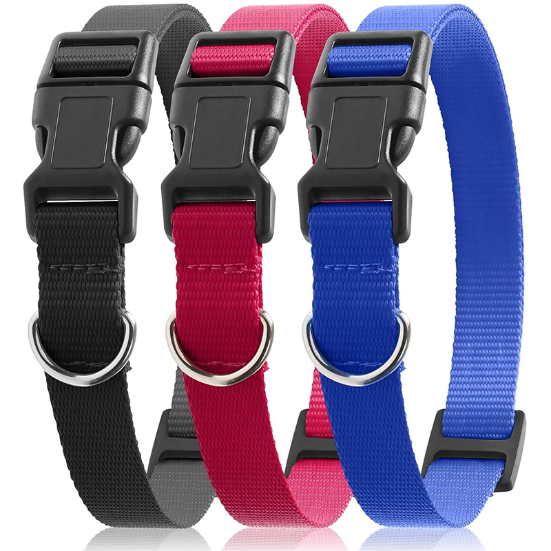 Cinta de Substituição para Col - D Ring Strap avaliação e preço